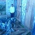 PROJET D'ENGRAISSAGE DE PORCS A AMBOLOTARA